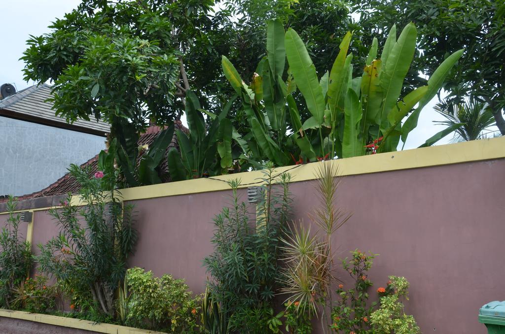 קנגו Villa Eva מראה חיצוני תמונה